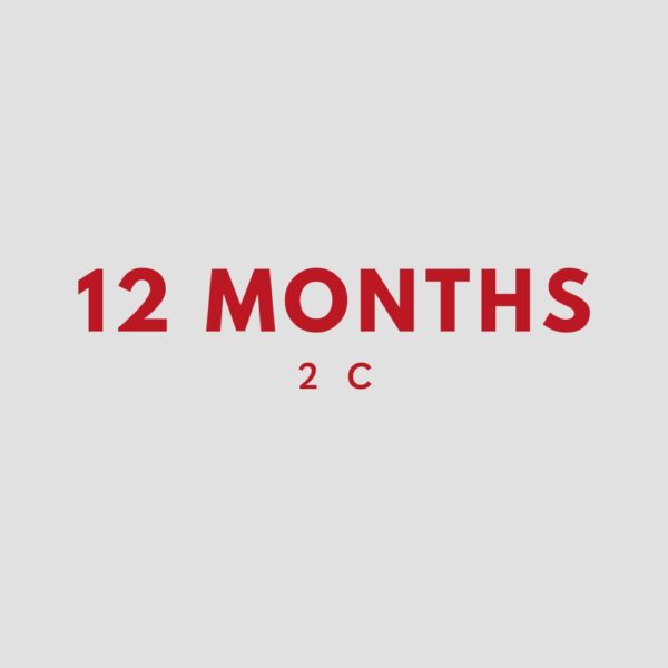 Coaching Service 12 Months 2-c
