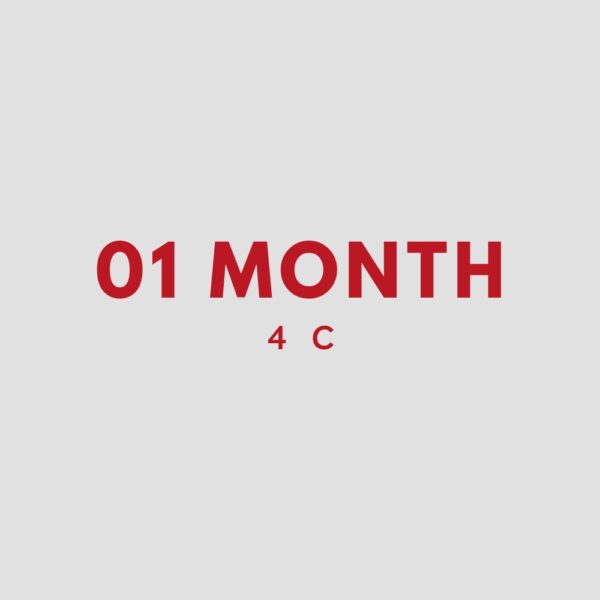 Coaching Service 1 Month 4-c